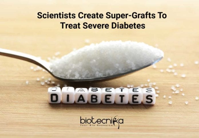 Super-Grafts To Treat Diabetes