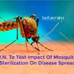 UN mosquito sterilization technology