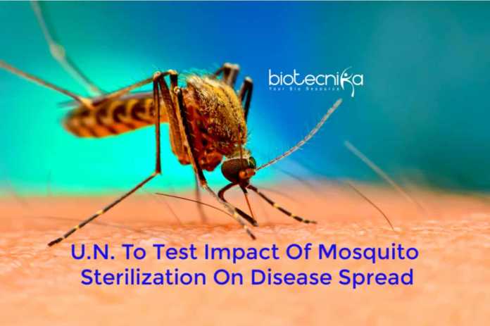UN mosquito sterilization technology