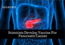 Scientists Develop Vaccine For Pancreatic Cancer Vaccine For Pancreatic Cancer