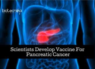 Scientists Develop Vaccine For Pancreatic Cancer Vaccine For Pancreatic Cancer