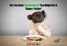 Do You Hate Vegetables? You Might Be A ‘Super-Taster’ Vegetable Taste Related To Genes