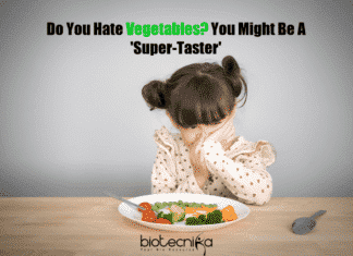 Do You Hate Vegetables? You Might Be A ‘Super-Taster’ Vegetable Taste Related To Genes