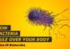 How Bacteria Rule Over Your Body – The Microbiome