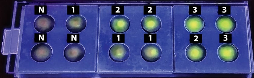 IISc Potable TB Device