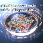 Next Gen Sequencing