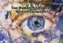 Can Humanity Escape Or Survive Extinction? Can Humanity Escape Or Survive Extinction?