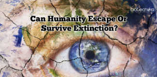 Can Humanity Escape Or Survive Extinction?