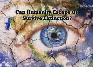 Can Humanity Escape Or Survive Extinction? Can Humanity Escape Or Survive Extinction?