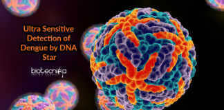 Detection of Dengue Virus Using DNA Star - Dengue Detection Method