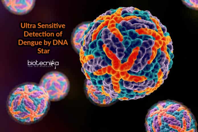 Detection of Dengue Virus Using DNA Star - Dengue Detection Method