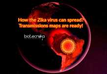 How Zika Virus Can Spread? Transmission Risk Maps Developed By Researchers transmission-risk maps for Zika virus