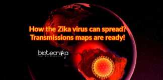 transmission-risk maps for Zika virus