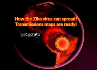 How Zika Virus Can Spread? Transmission Risk Maps Developed By Researchers transmission-risk maps for Zika virus