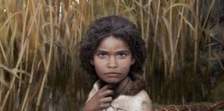 Ancient Chewing Gum DNA