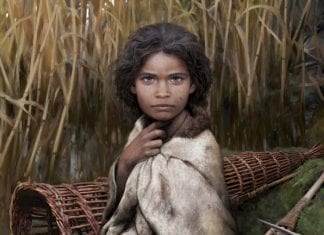 Scientists Sequence Human Genome Stuck On 5,700 Years Old “Chewing Gum” Ancient Chewing Gum DNA