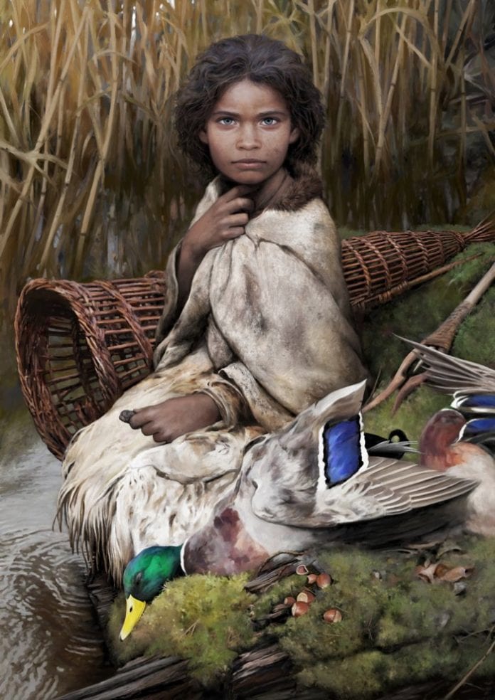 Ancient Chewing Gum DNA
