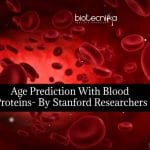 Age Prediction With Blood Proteins
