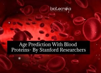 This Blood Protein Test By Stanford Scientists Can Predict Your Accurate Age! Age Prediction With Blood Proteins