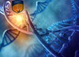Amity Kolkata SERB Funded Project Assistant Post for Biological Sciences Amity Kolkata Jobs