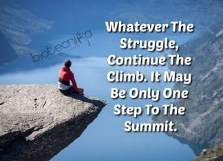 Biotecnika Times – Newsletter 27.12.2019 – Govt Public Health Officer Job, Govt CIAB Research