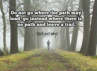 Biotecnika Times – Newsletter 30.12.2019 – DBT Online Recruitment, WOS-C Women Scientist