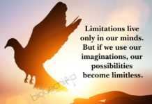 Biotecnika Times – Newsletter 04.12.2019 – AcSIR APJ Abdul Kalam Summer Training 2020