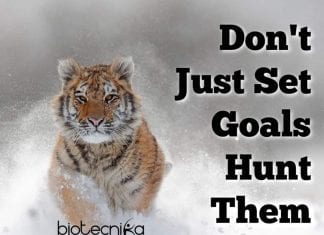 Biotecnika Times – Newsletter 11.12.2019 – Raman Research Fellowship, ICGEB Life Sciences