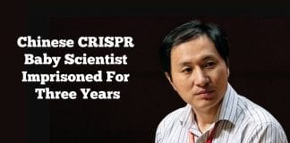 The scientist behind CRISPR babies jailed for three years
