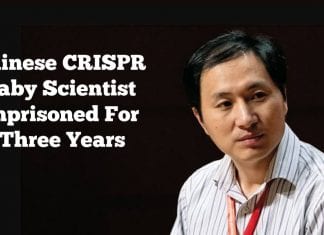 Chinese CRISPR Baby Scientist Imprisoned For Three Years The scientist behind CRISPR babies jailed for three years
