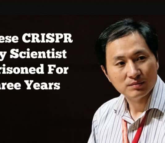 The scientist behind CRISPR babies jailed for three years