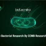 CCMB Bacteria Cell-Wall Development Research