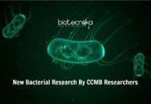 CCMB Bacteria Cell-Wall Development Research