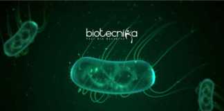 CCMB Bacteria Cell-Wall Development Research