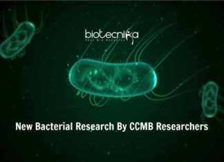 CSIR-CCMB Scientists Find New Aspects Of Bacterial Cell Wall Development in E.coli CCMB Bacteria Cell-Wall Development Research