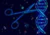 Novel CRISPR System To Regulate Genome Editing In Space And Time CRISPR-Switch to control genome editing