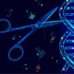 Novel CRISPR System To Regulate Genome Editing In Space And Time CRISPR-Switch to control genome editing