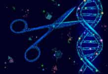 Novel CRISPR System To Regulate Genome Editing In Space And Time CRISPR-Switch to control genome editing