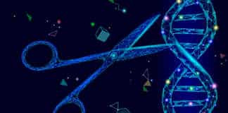 CRISPR-Switch to control genome editing