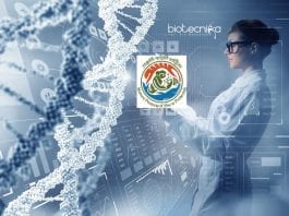 Govt MoEF&CC Internship