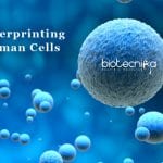 Human cells 'fingerprint' scPred