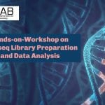 IBAB Workshop