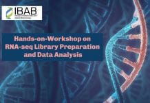 IBAB Exclusive: Hands-on-Workshop on RNA-seq Library Preparation and Data Analysis IBAB Workshop
