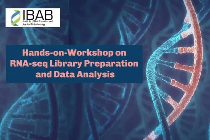 IBAB Workshop