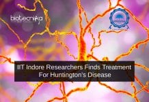 IIT Indore Researchers Finds Treatment For Huntington’s Disease IIT Researchers Treatment For Huntington's