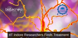 IIT Researchers Treatment For Huntington's