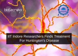 IIT Indore Researchers Finds Treatment For Huntington’s Disease IIT Researchers Treatment For Huntington's