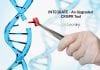 Scientists Develop INTEGRATE – An Upgraded CRISPR Tool INTEGRATE-An-Upgraded-CRISPR-Tool