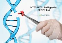 Scientists Develop INTEGRATE – An Upgraded CRISPR Tool INTEGRATE-An-Upgraded-CRISPR-Tool