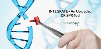 INTEGRATE-An-Upgraded-CRISPR-Tool